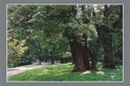 2002-46 park