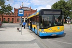 Autobusy w Skierniewicach