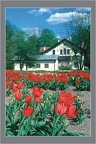 1-27 pocztówki 2001