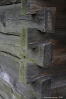 dom-drewniany zg11 6884-