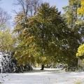 zg2012 jesien-zima 1714-
