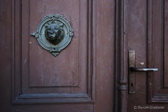drzwi zg19 4954-