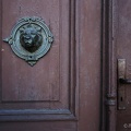 drzwi zg19 4954-