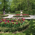 park-tulip zg19 6399-