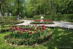 park-tulip zg19 6399-