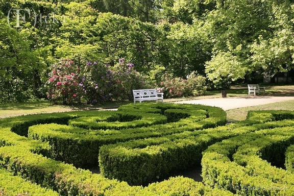 Ogród w Nieborowie -- fragmenty historycznego ogrodu przy Pałacu W Nieborowie, maj 2012