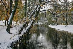 jesien-zima-park_zg12_1651ed-